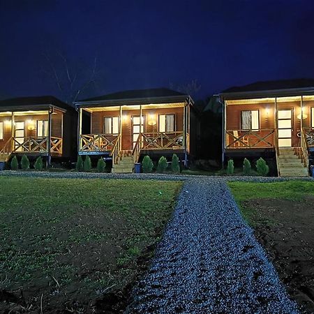 Chateau Ateni Cottages Gori Exteriör bild